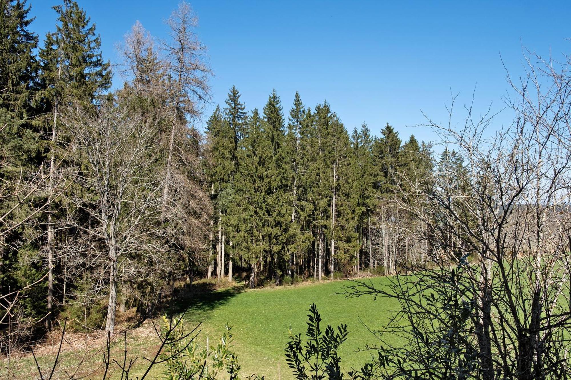 Ferienwohnung Schartenschmiede Sankt Georgen im Schwarzwald Ngoại thất bức ảnh